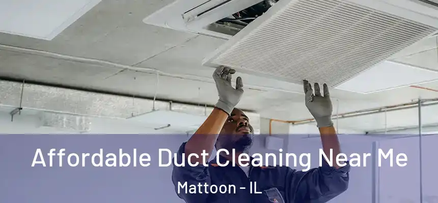  Affordable Duct Cleaning Near Me Mattoon - IL