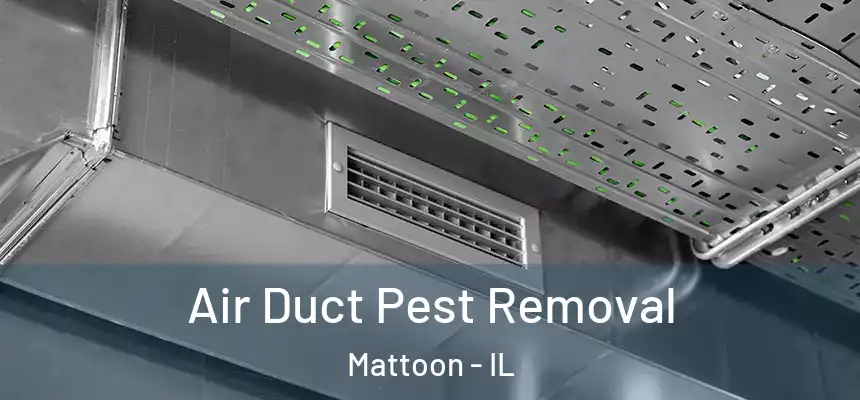  Air Duct Pest Removal Mattoon - IL