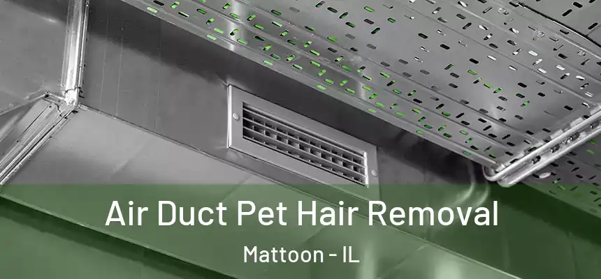  Air Duct Pet Hair Removal Mattoon - IL