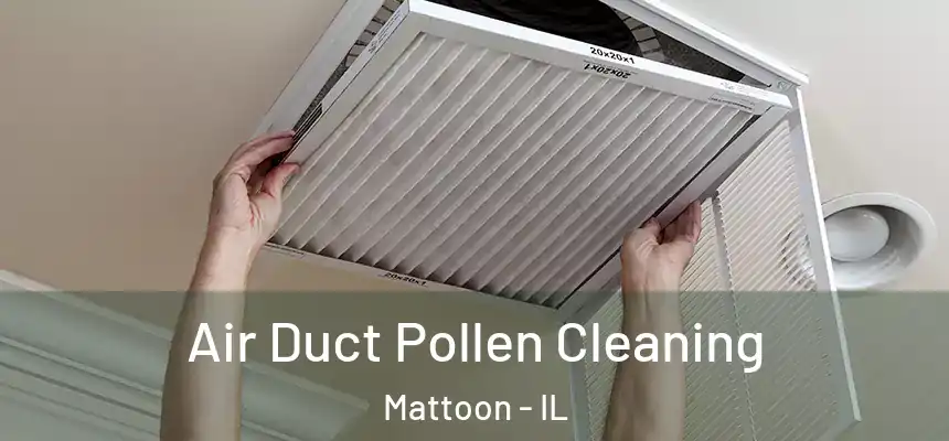  Air Duct Pollen Cleaning Mattoon - IL