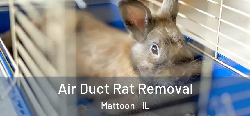  Air Duct Rat Removal Mattoon - IL