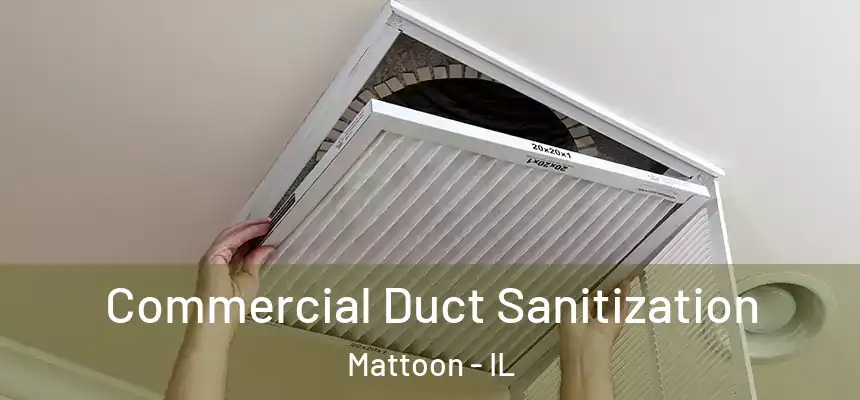  Commercial Duct Sanitization Mattoon - IL