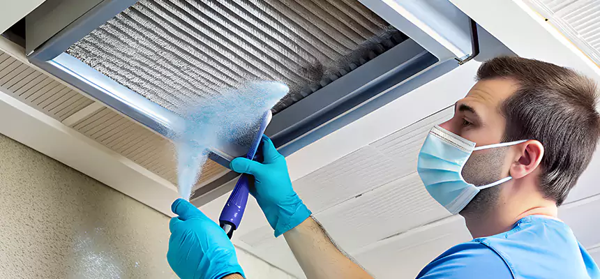 Proactive Dryer Vent & Auxiliary Duct Pollen Cleanup in Mattoon, IL