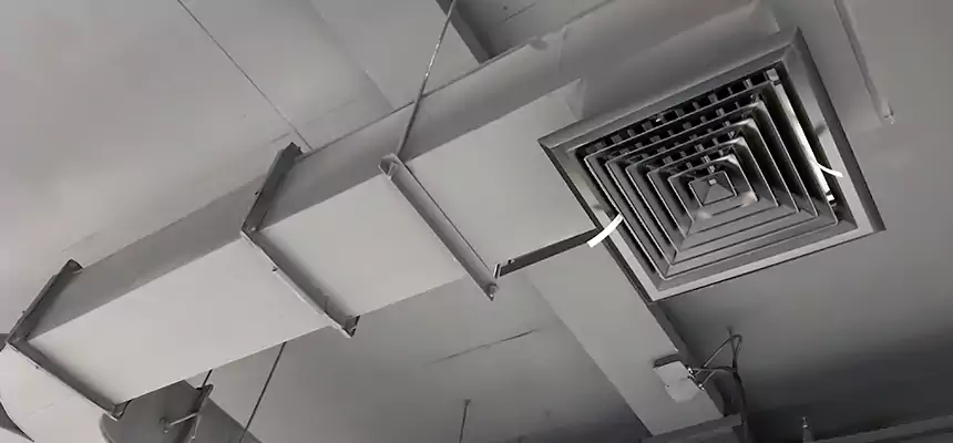 Restorative Allergy Relief Vent Cleaning – Coil, Blower & Housing Detail in Mattoon