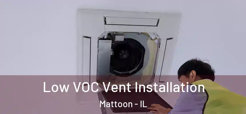  Low VOC Vent Installation Mattoon - IL