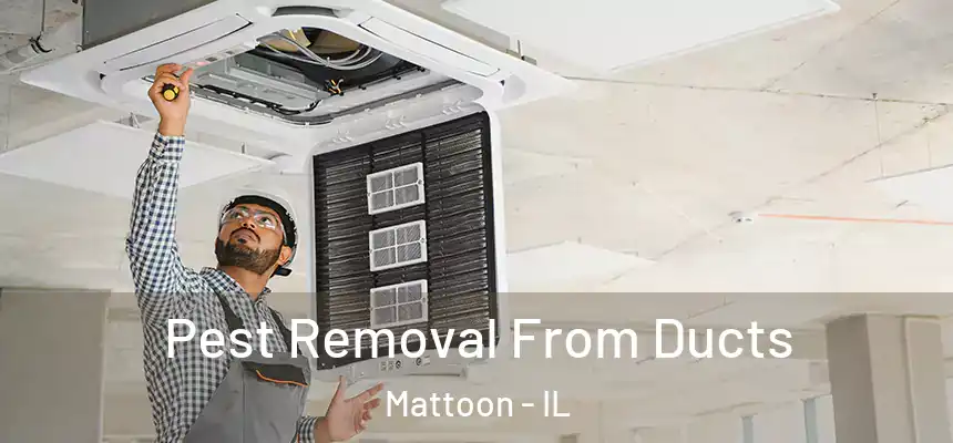  Pest Removal From Ducts Mattoon - IL