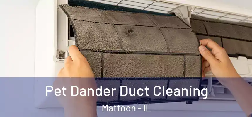  Pet Dander Duct Cleaning Mattoon - IL
