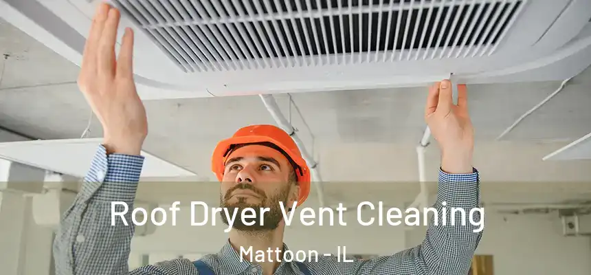  Roof Dryer Vent Cleaning Mattoon - IL