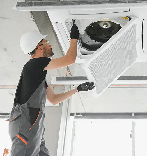 About Air Duct Rodent Removal in Mattoon, IL