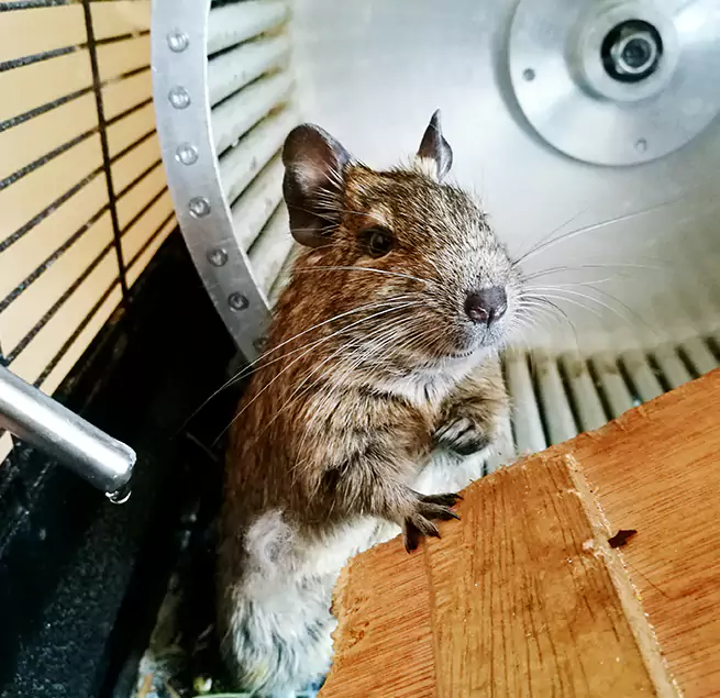 Why Homeowners & Businesses Trust Us Mattoon, IL