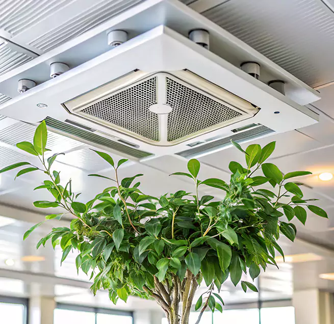 Why Homeowners & Businesses Trust Us in Mattoon, IL?