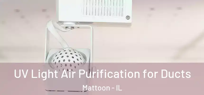  UV Light Air Purification for Ducts Mattoon - IL