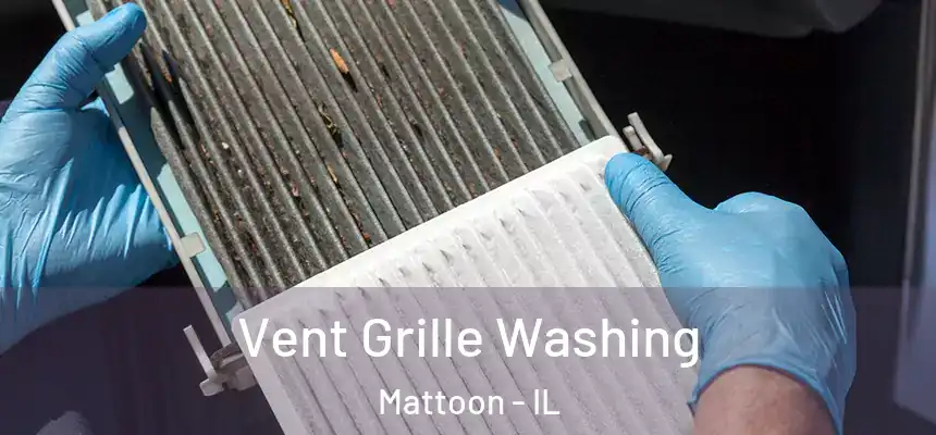  Vent Grille Washing Mattoon - IL
