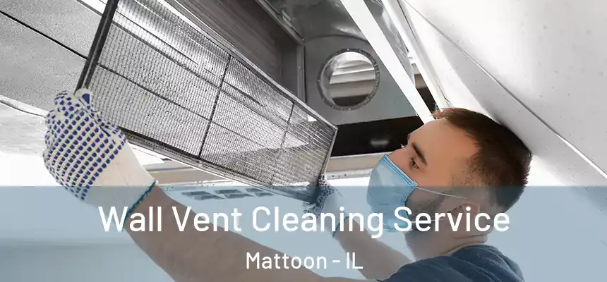  Wall Vent Cleaning Service Mattoon - IL